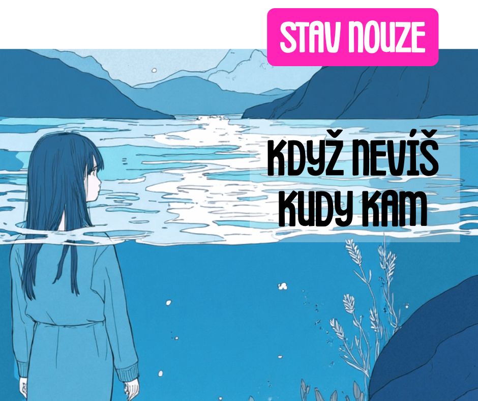 Stav nouze DÍTĚ SVÝCH RODIČŮ